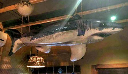 higgins the shark at bungalow tiki bar beijing china