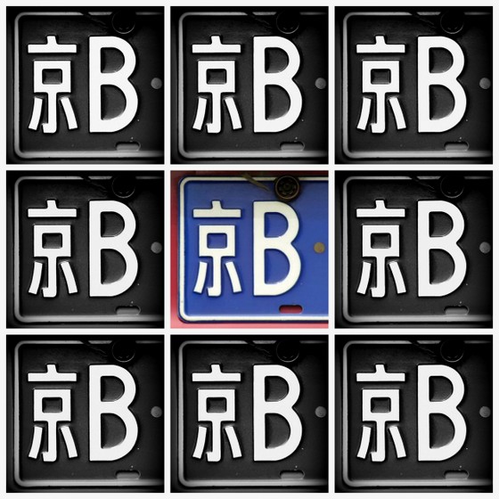 beijing-boyce-license-logo-collage-2