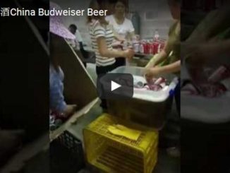 china budweiser beer video screen capture