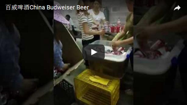 china budweiser beer video screen capture