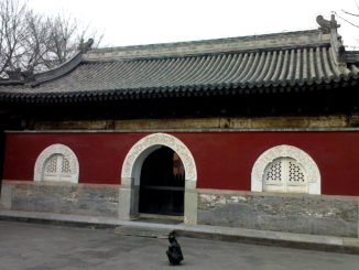 grape wall challenge 2013 temple restaurant beijing venue